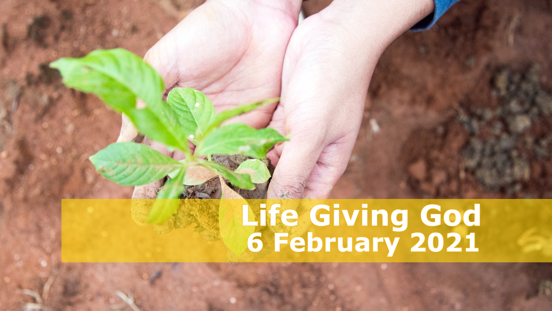 Life Giving God