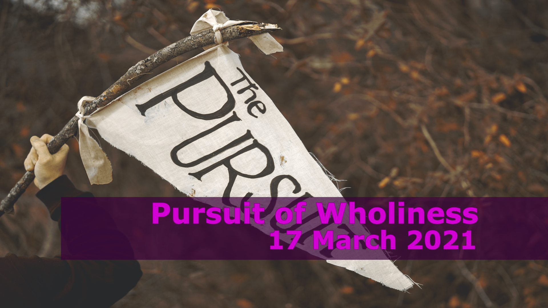 Pursuit of Wholiness