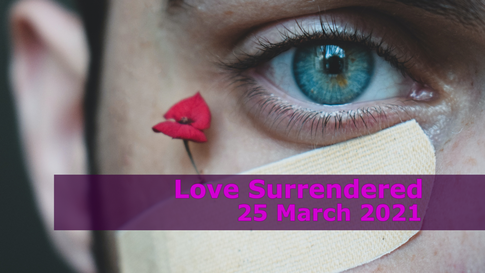 Love Surrendered