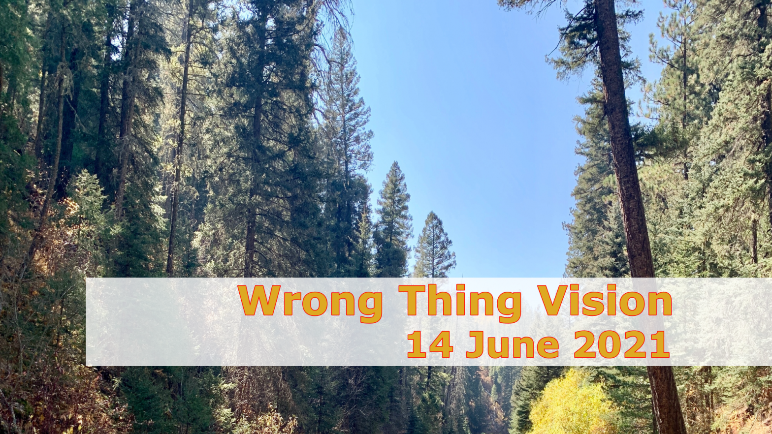 Wrong Thing Vision