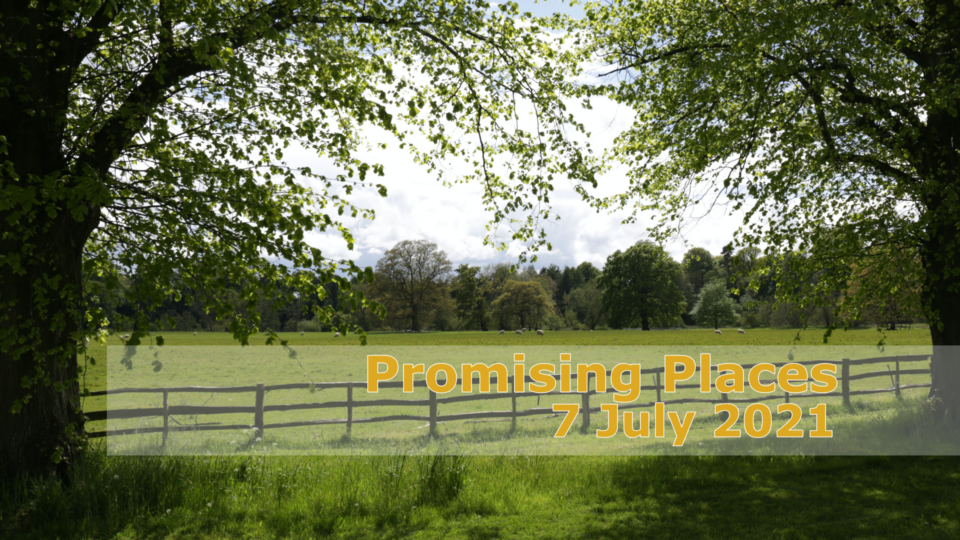 Promising Places