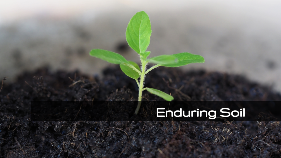 Enduring Soil