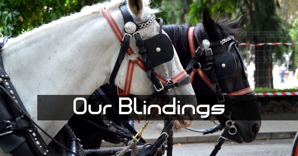 Our Blindings
