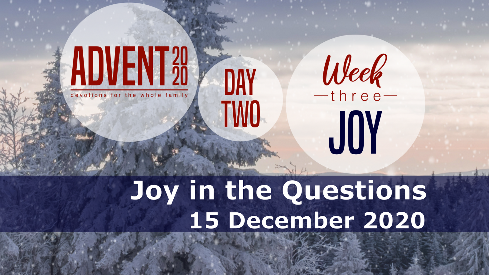 Joy in the Questions