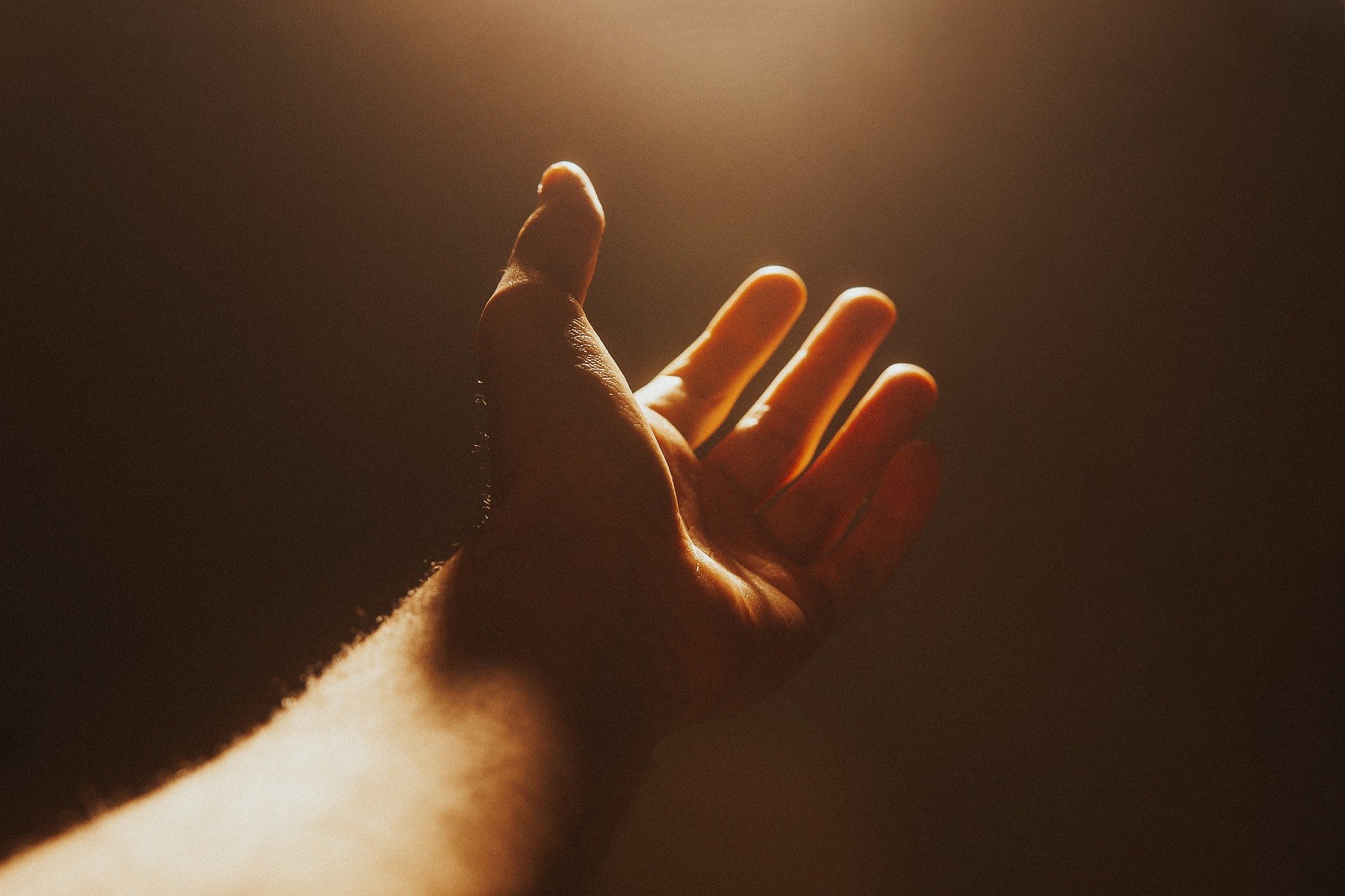 Worship This