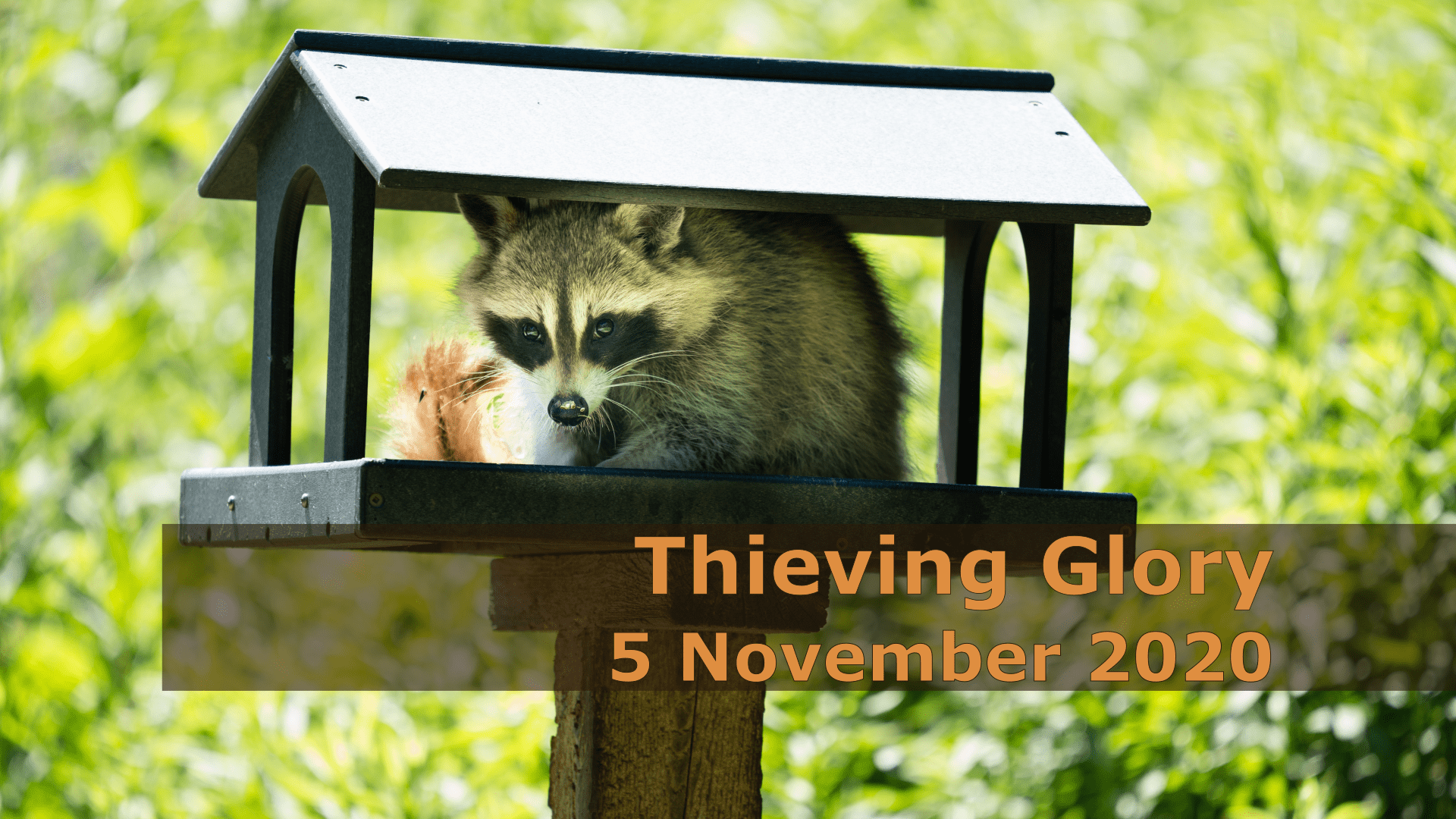 Thieving Glory