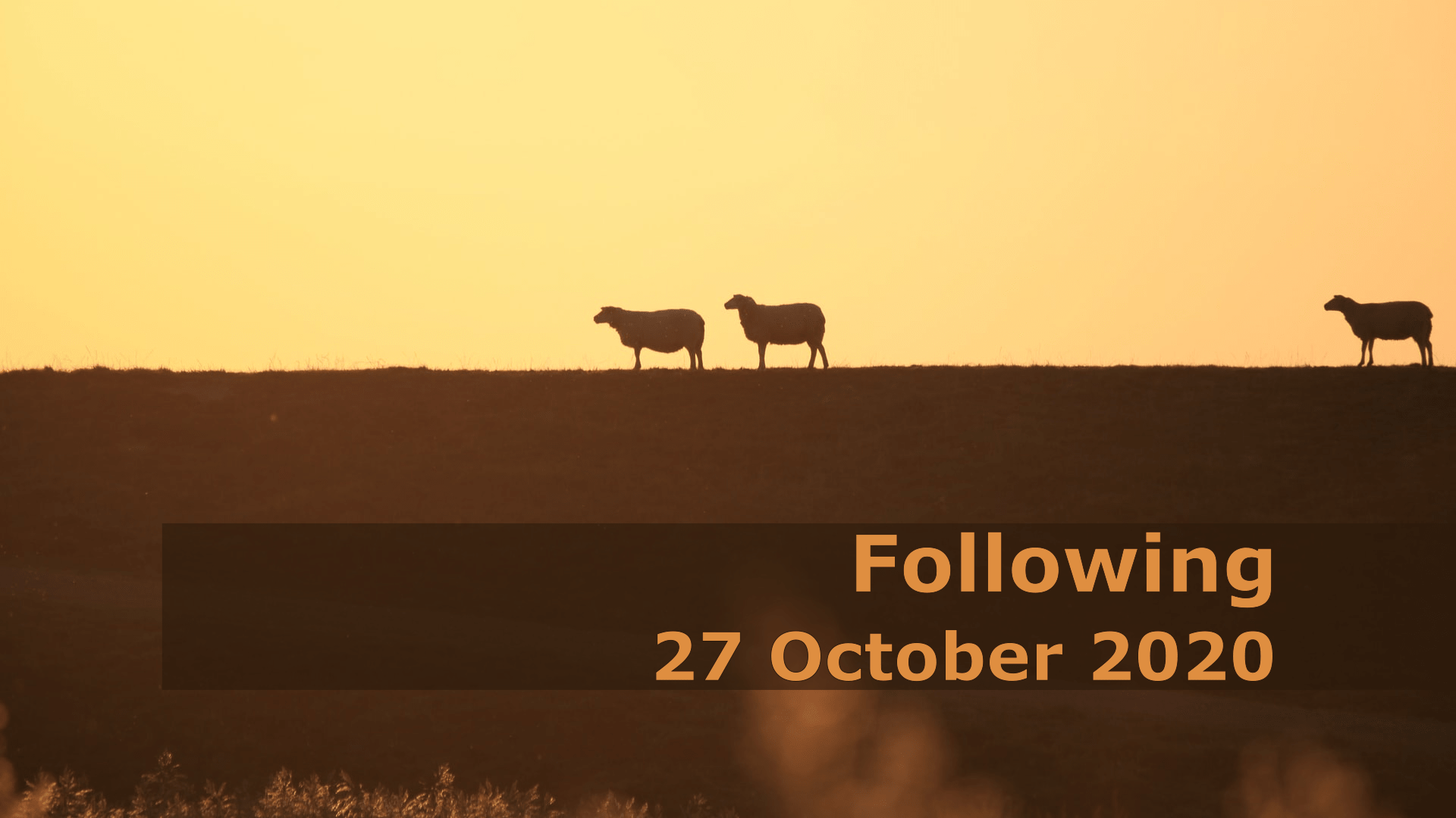Following