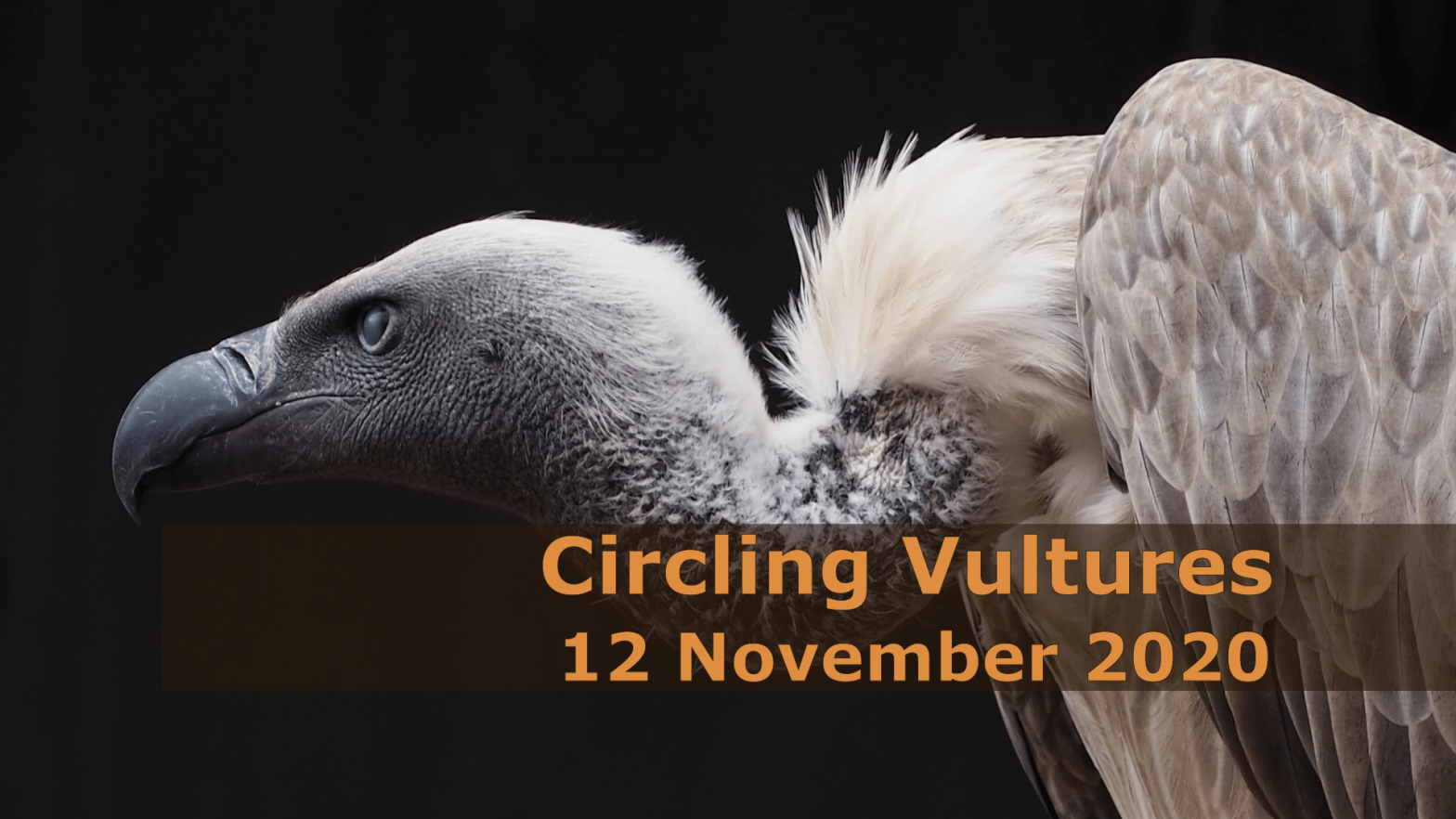 Circling Vultures