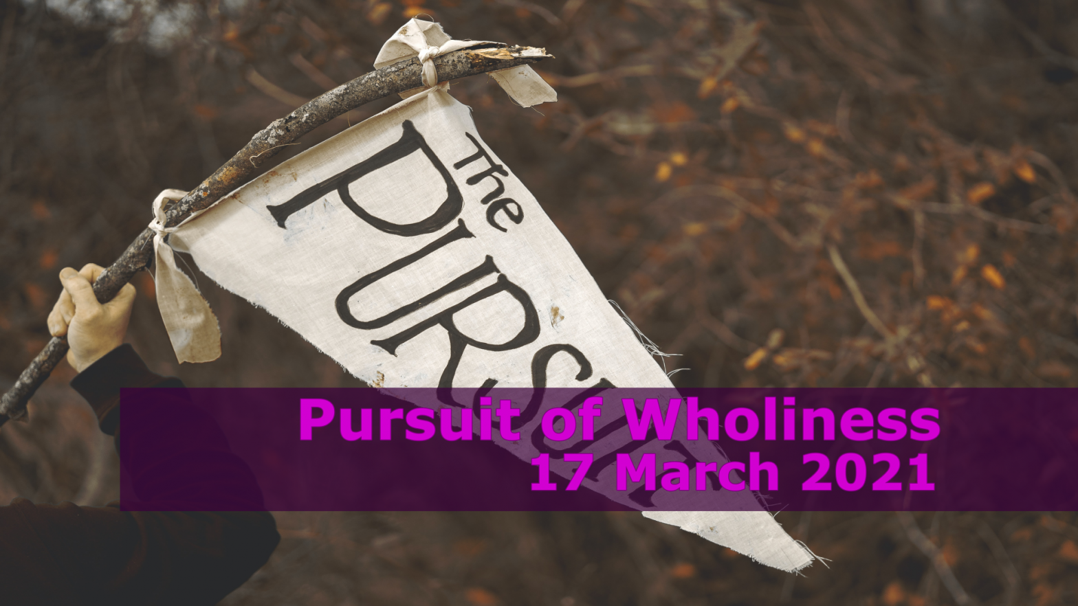 Pursuit of Wholiness