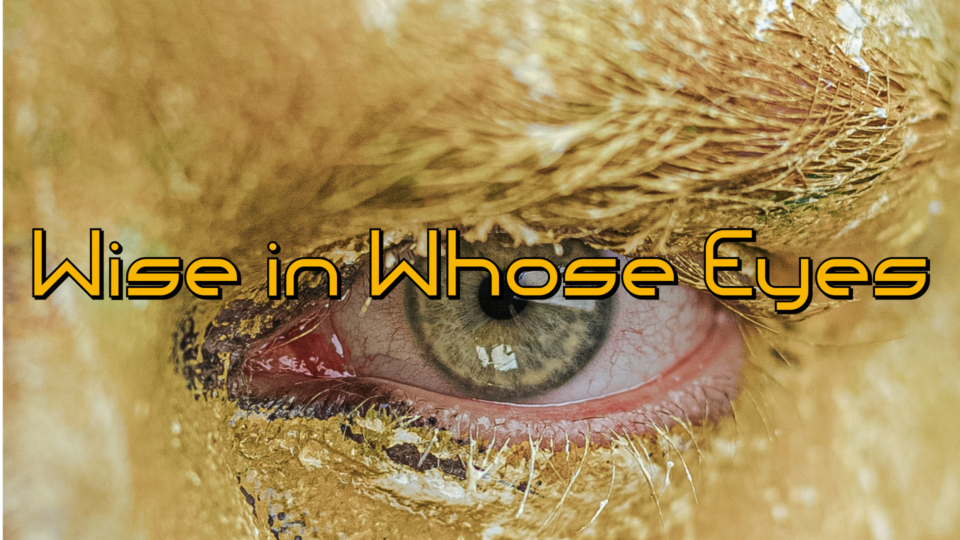 Wise in Whose Eyes