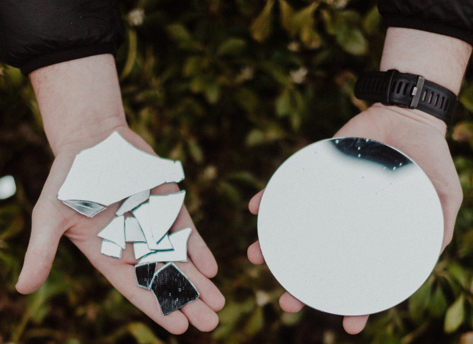 Wholly New or Newly Whole